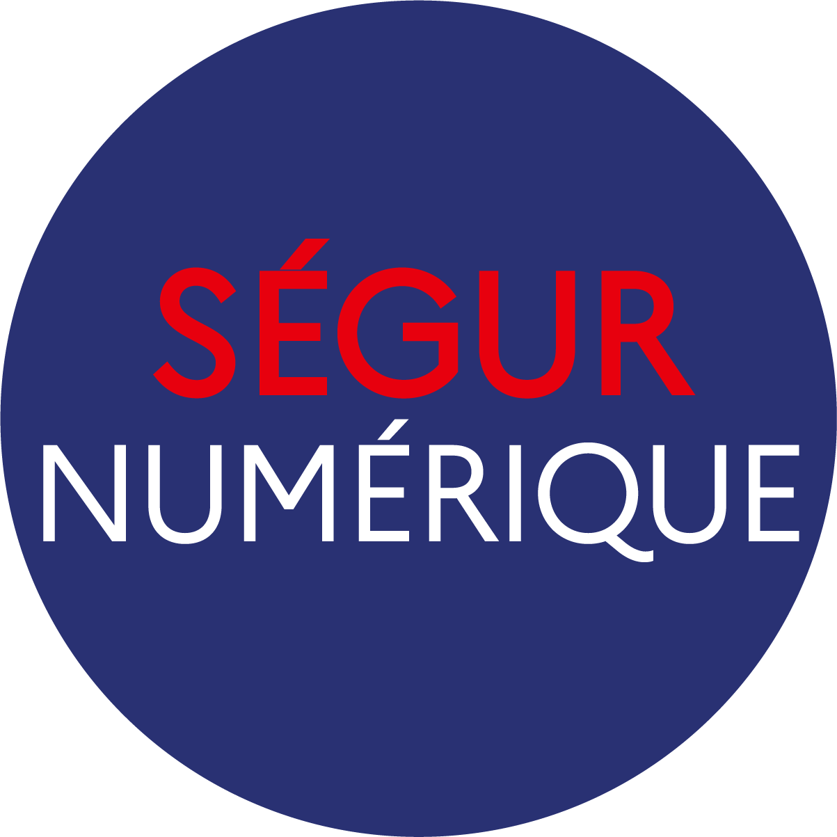 Logo Segur Numerique
