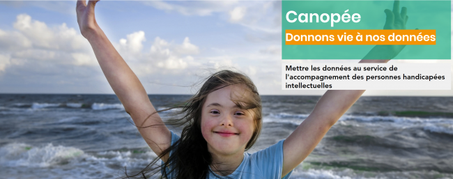 Canopée 1