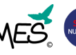 Logos DUI Airmes, référencé ANS Ségur numérique